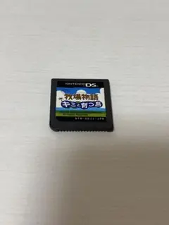 牧場物語 キミと育つ島 (DS)