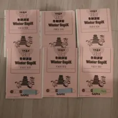 サピックスSS特訓・国語知識 （通称「灘プリ」）灘一日目　知識力完成講座 サピックスSS特訓・国語知識 （通称「灘プリ」）灘一日目 知識力完成