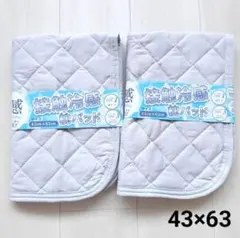 2枚セット 接触冷感 吸水速乾 枕パッド 丸洗い可 43×63cm ライトグレー