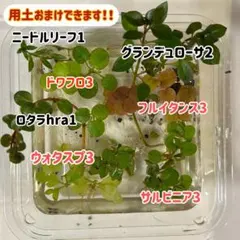 ほのばあ様 リクエスト 2点 まとめ商品