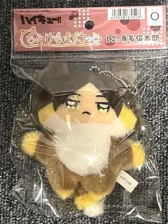 ハイキュー‼︎ 角名倫太郎 ぬいぐるみ まとめ売り 2025年最新】角名倫太郎 ぬいぐるみの人気アイテム - メルカリ