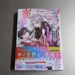 気まぐれな神の罰当たりな寵愛