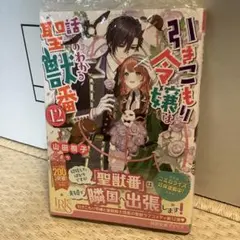 引きこもり令嬢は話のわかる聖獣番 12 山田桐子 / まちのサムネイル