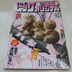 ビッグオリジナル 2026年4月5日号