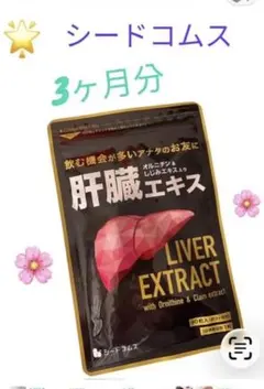 Item thumbnail for item 03b4da56-8731-480e-8427-1d1e71ea0a96