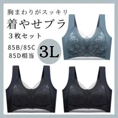 3L　胸をスッキリ見せるブラ 3枚 シームレス ノンワイヤー ナイトブラ
