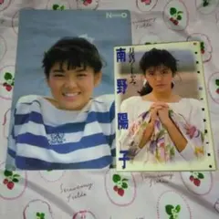 南野陽子 月夜のくしゃみ 下敷き ２点セット 昭和レトロ