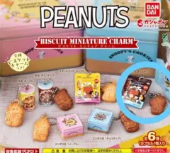 PEANUTS スヌーピー　ビスケットミニチュアチャーム　ガチャ