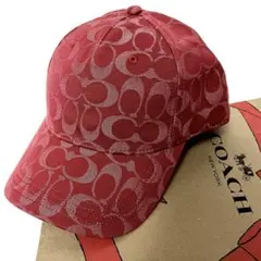 Item thumbnail for item 7c8a420c-6872-4fe0-a5f8-aec64fef43e8