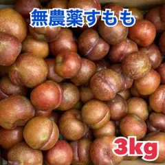 無農薬すもも3kgのサムネイル