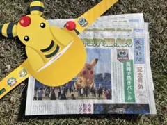 【号外3部】➕バイザー1枚　ポケモンGO ワイルドエリア長崎