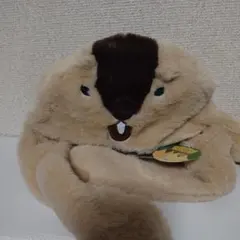 AMUSE マーモットのもっとっと バンザイぼうし