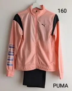 PUMA ジャージ上下　160