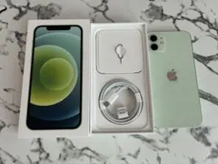 Apple iPhone 12 ミントグリーン 本体64GB