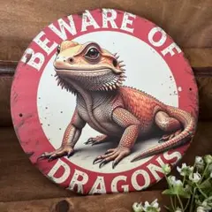 メタルサイン　フトアゴヒゲトカゲ　看板　ブリキ看板