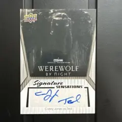 2025年最新】サインカード マーベルの人気アイテム - メルカリ