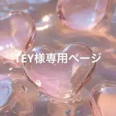 TEY様専用ページ