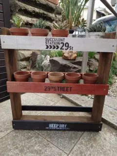 なおちゃん様多肉植物棚TD-88 変更あり