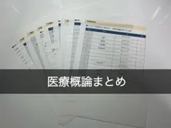 柴犬のクマ様 リクエスト 2点 まとめ商品