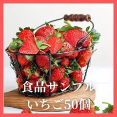 Item thumbnail for item b674bf8e-7337-4563-b5f3-f359a450dc48