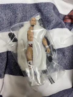 WWE マテル エリート スティーブ・ウィリアムス カスタム