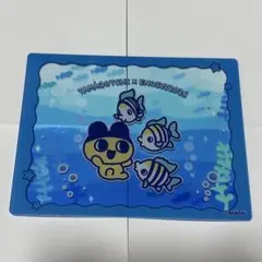 えのすい　新江ノ島水族館　限定　まめっち たまごっち　アクリルカード