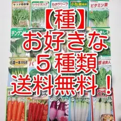 【種】赤花キヌサヤなど♪　お好きな５種類！