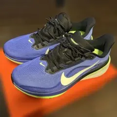 NIKE AIR ZOOM PEGASUS 42 27.5 アルペン限定カラー - メルカリ