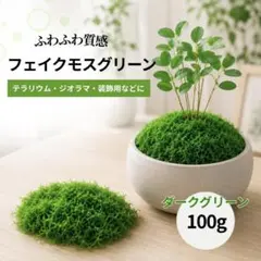 100g フェイクモス ダーク グリーン 苔 人工 ジオラマ　模型　インテリアのサムネイル