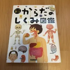 めくって学べる からだのしくみ図鑑【表紙カバー付美品】