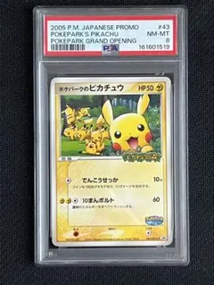 PSA8】ポケパークのピカチュウ 043/PCG-P プロモ - メルカリ