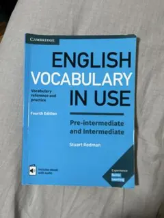 ENGLISH VOCABULARY IN USE