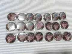 いれいす COG 缶バッジ 21点