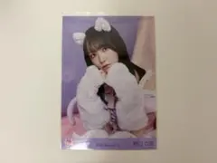 2025年最新】野口衣織 生写真 猫の人気アイテム - メルカリ