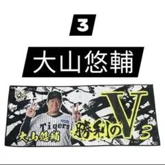 阪神タイガース　シークレットタオル