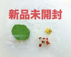 【ピカチュウ&パッチール】　ポケットモンスター　テラリウム Happyなまいにち