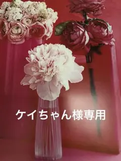 ケイちゃん様専用