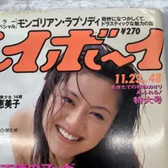 週刊プレイボーイ 1993年11月23日号 No.48