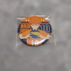 ハイキュー 日向翔陽 缶バッジ