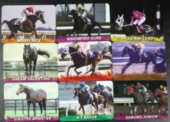 新ひだかトレジャーホースカード8枚サクラスターオー他　競馬カード