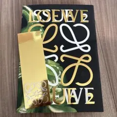 Item thumbnail for item a22e565e-6d3a-4356-8de1-b529556ff891