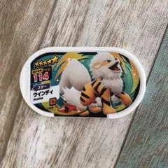 ポケモン　メザスタ　ウインディ　セット