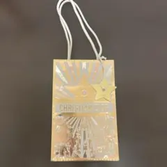 CHRISTIAN DIOR ショップ袋