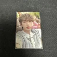 &TEAM HARUA ハルア シーグリ トレカ