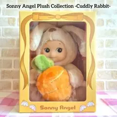 SONNY ANGEL チョコレートシリーズ2016・シークレット2体セット - メルカリ
