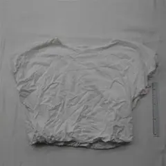 ？zara ホワイトコットンショート丈トップス