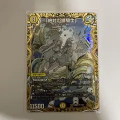 2025年最新】アブソリュートシールドナイト金の人気アイテム