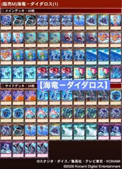 CS優勝構築】リース御代紅海 リースギャラクシー リースサムライ
