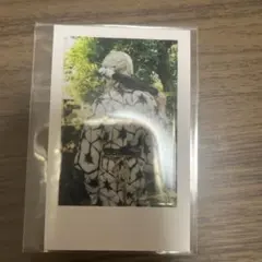 いれいす 様 悠佑 様 ゆうすけ 様 ランダム 実写 チェキ