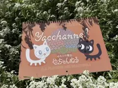 ◆◆1番人気！壁掛けカレンダー2026 ゆるふわ園芸やっちゃんねる◆◆